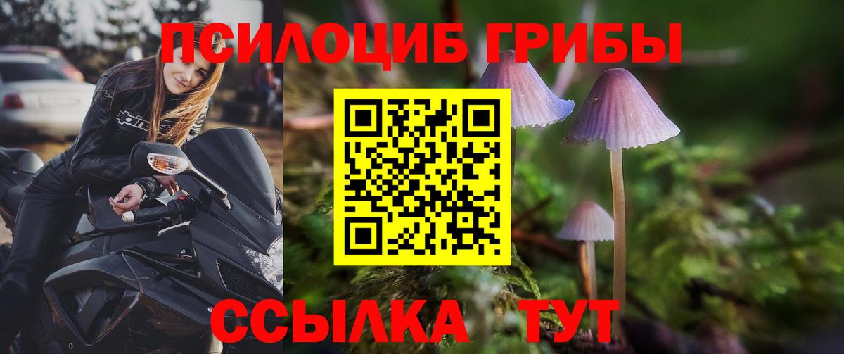 Смоленск  Галлюциногенные грибы мицелий  Вход с VPN 